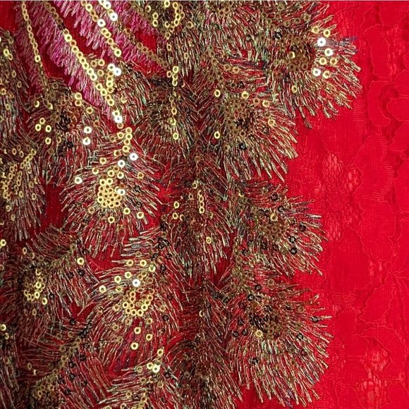 Traditional Red Wedding Gown - Picture 5 of 13